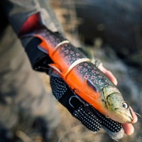 Savage Gear 3D Line Thru Trout 15cm/35g